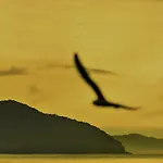 Hotel Portofino De Ubatuba